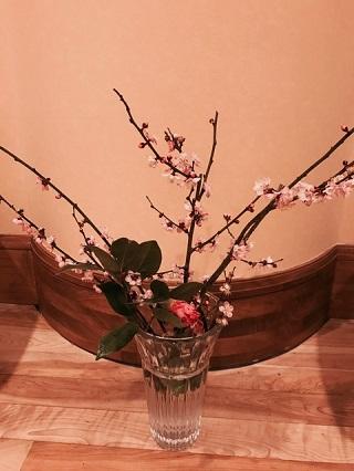 紅梅♪