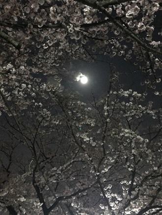 昨日は競技会でした！