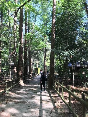 お散歩トレーニング！