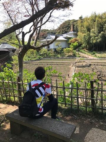 お散歩トレーニング！