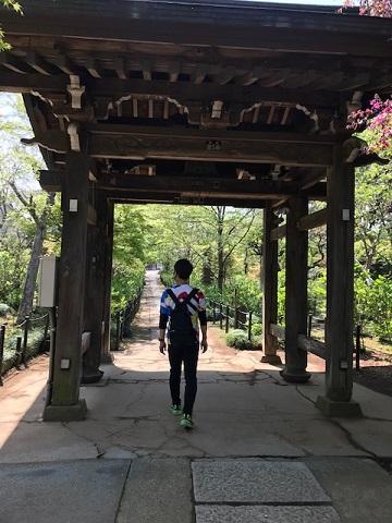 お散歩トレーニング！