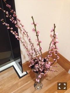 春ですね～